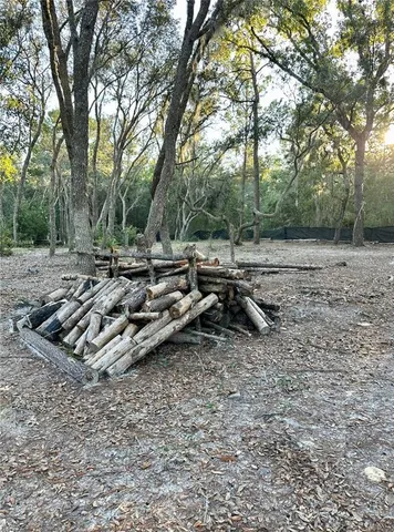 a view of backyard space