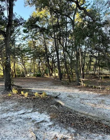 a view of backyard with green space