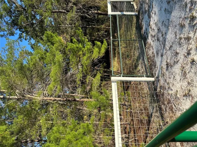 a view of outdoor space with large trees