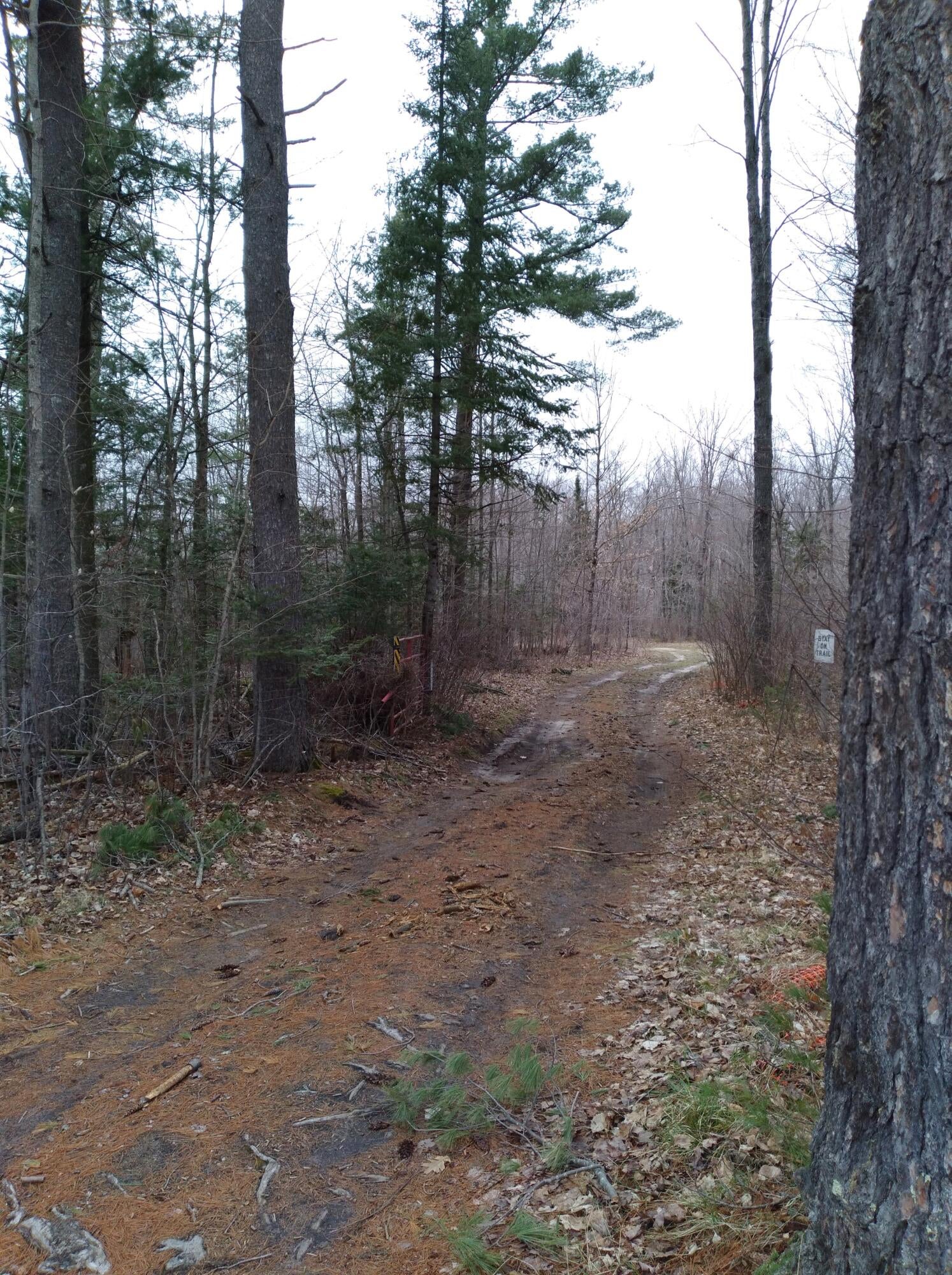 0 East Gogomain Road Pickford, MI 49774 - Photo 9 of 17 Gallery Image 9