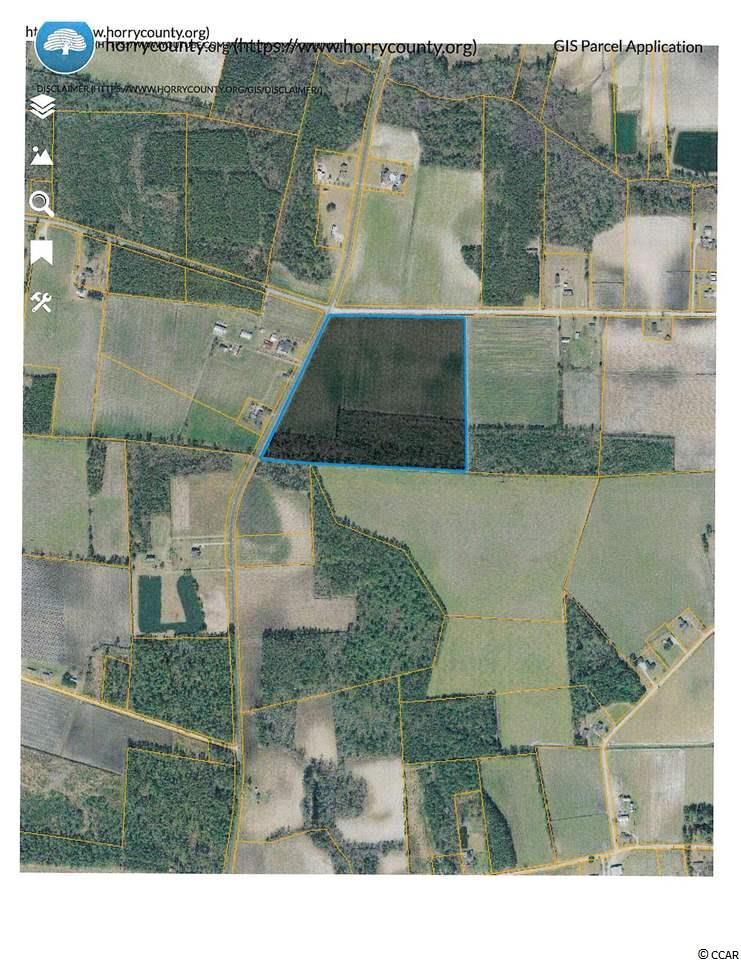 Tbd Edwards Road Aynor, SC 29511 - Photo 1 of 4 Gallery Image 1