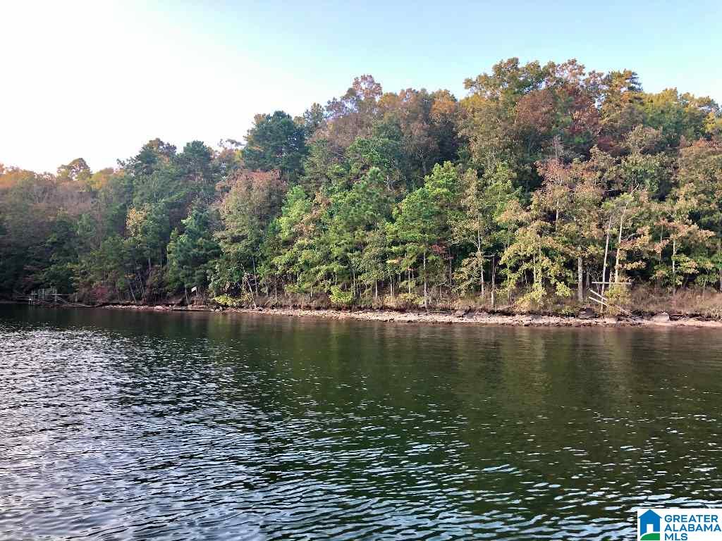 3292 County Road Wedowee, AL 36278 - Photo 3 of 9