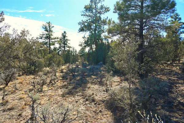 $22,500 | 0 Venado Dr Cr, Unit D1 LOT 79, Tierra Amarilla, NM 87575