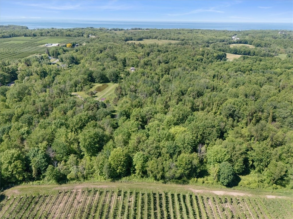 Geneva Road Sodus, NY 14551 - Photo 31 of 34