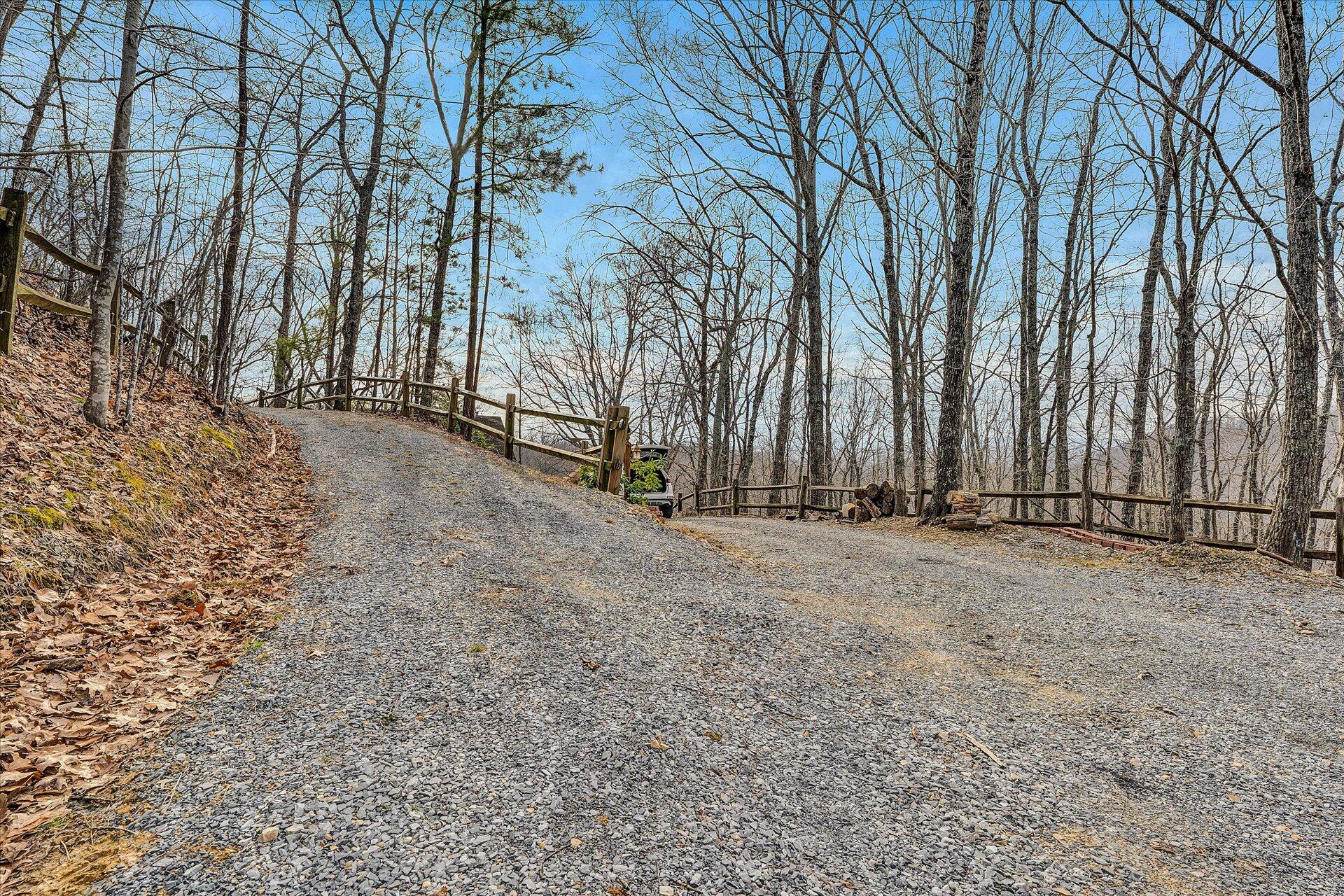 312 Ozark Road Buchanan, VA 24066 - Photo 37 of 50 37-DSC00103