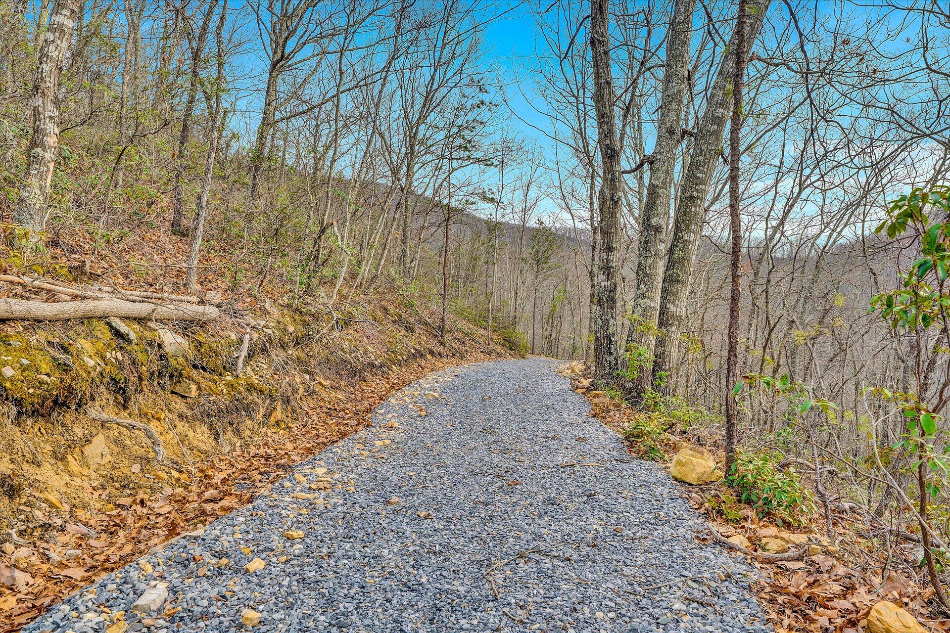 312 Ozark Road Buchanan, VA 24066 - Photo 40 of 50 40-DSC00118