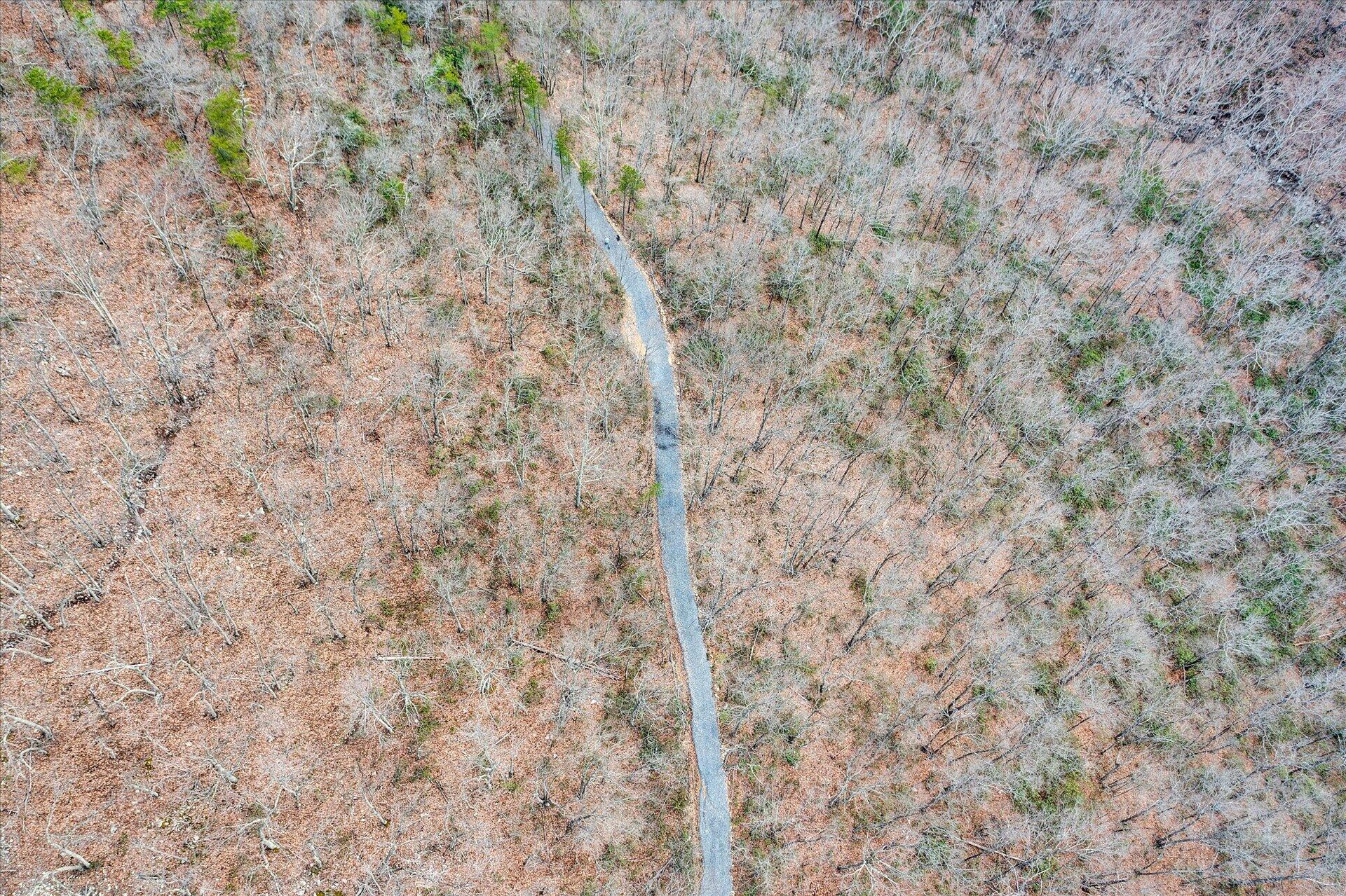 312 Ozark Road Buchanan, VA 24066 - Photo 44 of 50 44-DJI_0213