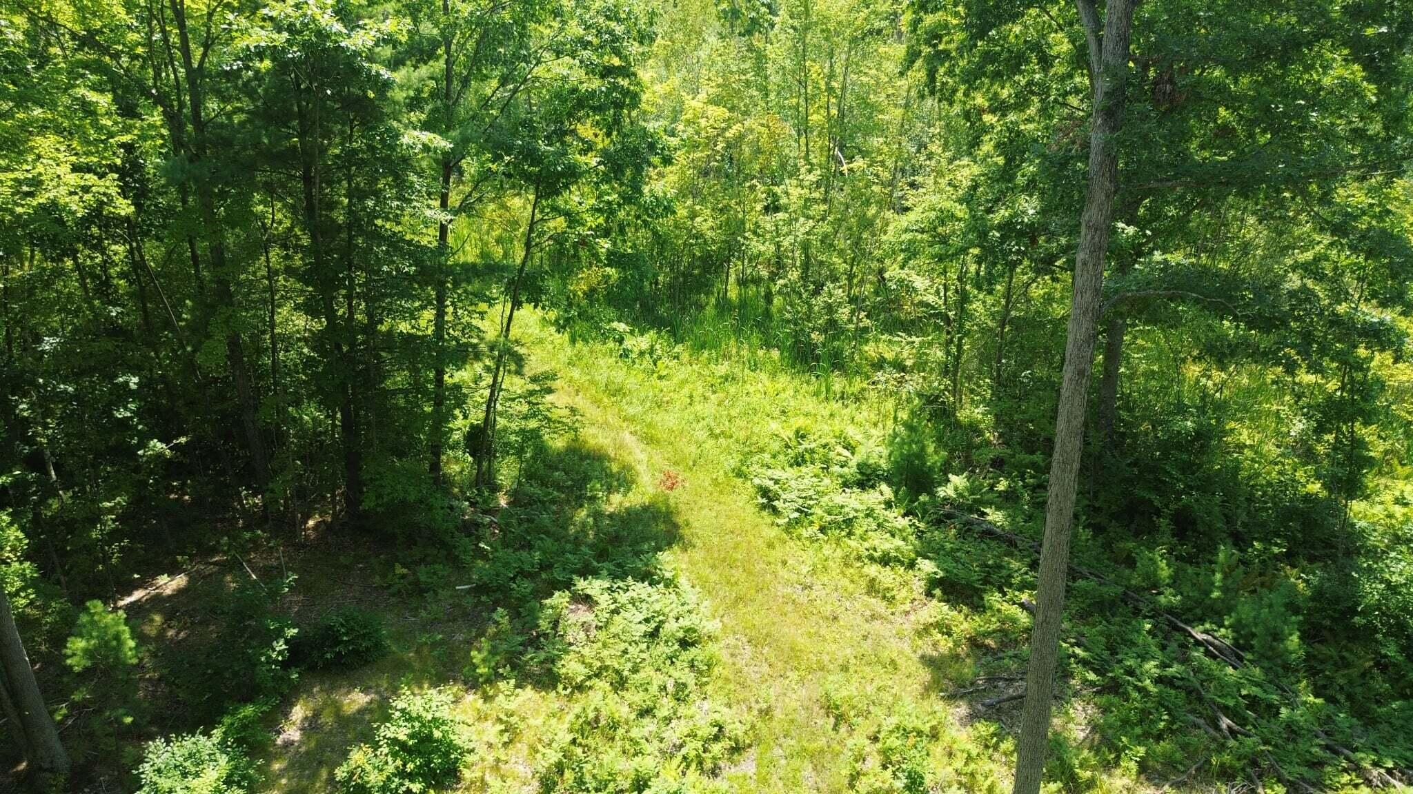 5 5 Mile Road Morley, MI 49336 - Photo 161 of 169 AGAT5831