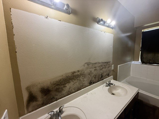 3027 Country Boy Court Spring, TX 77373 - Photo 11 of 20