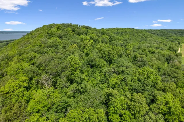 $450,000 | 0 Cottonwood Lane, Stockholm, WI 54769