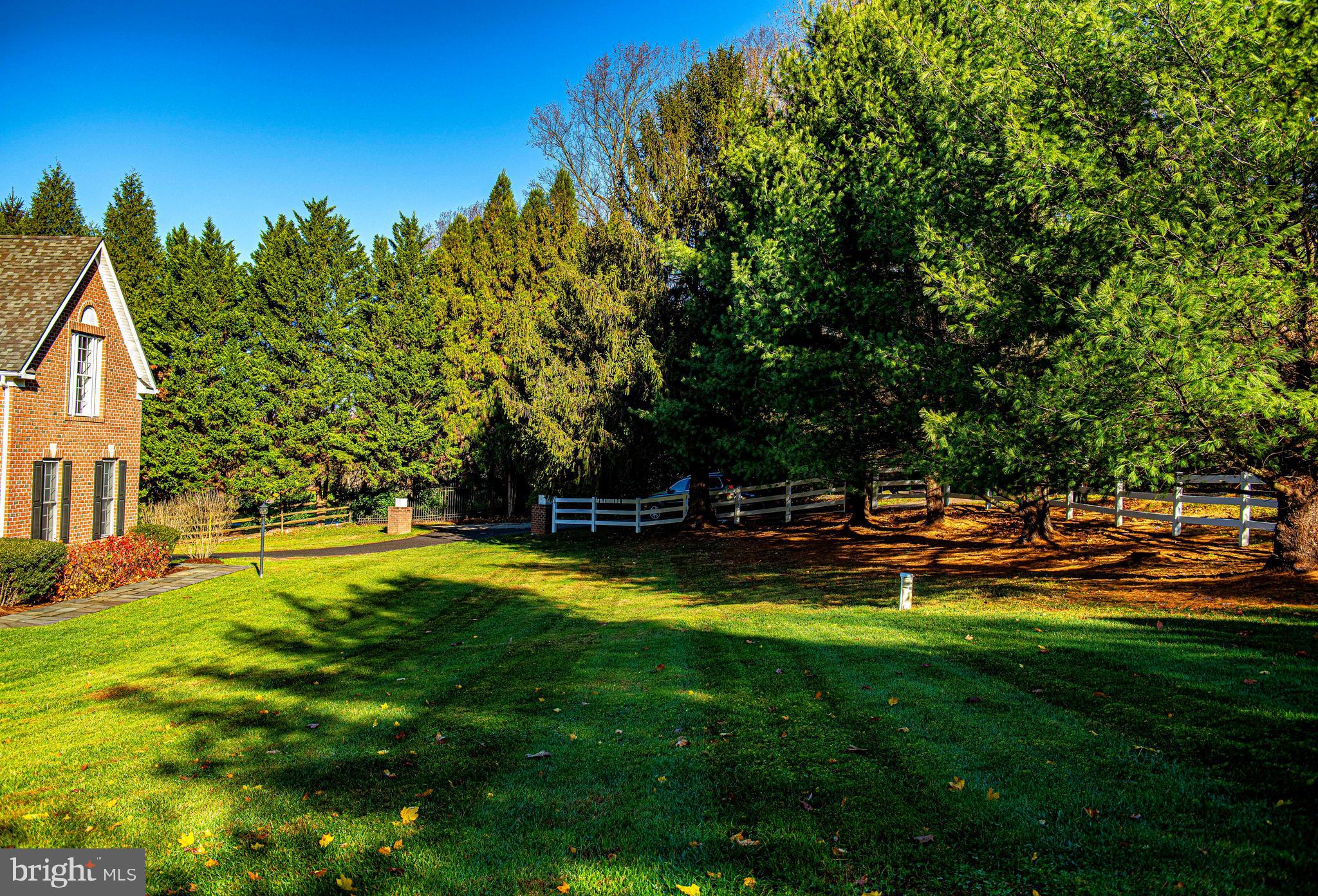 14516 Cuba Road Cockeysville, MD 21030 - Photo 12 of 79 a view of a swimming pool with lawn chairs and plants