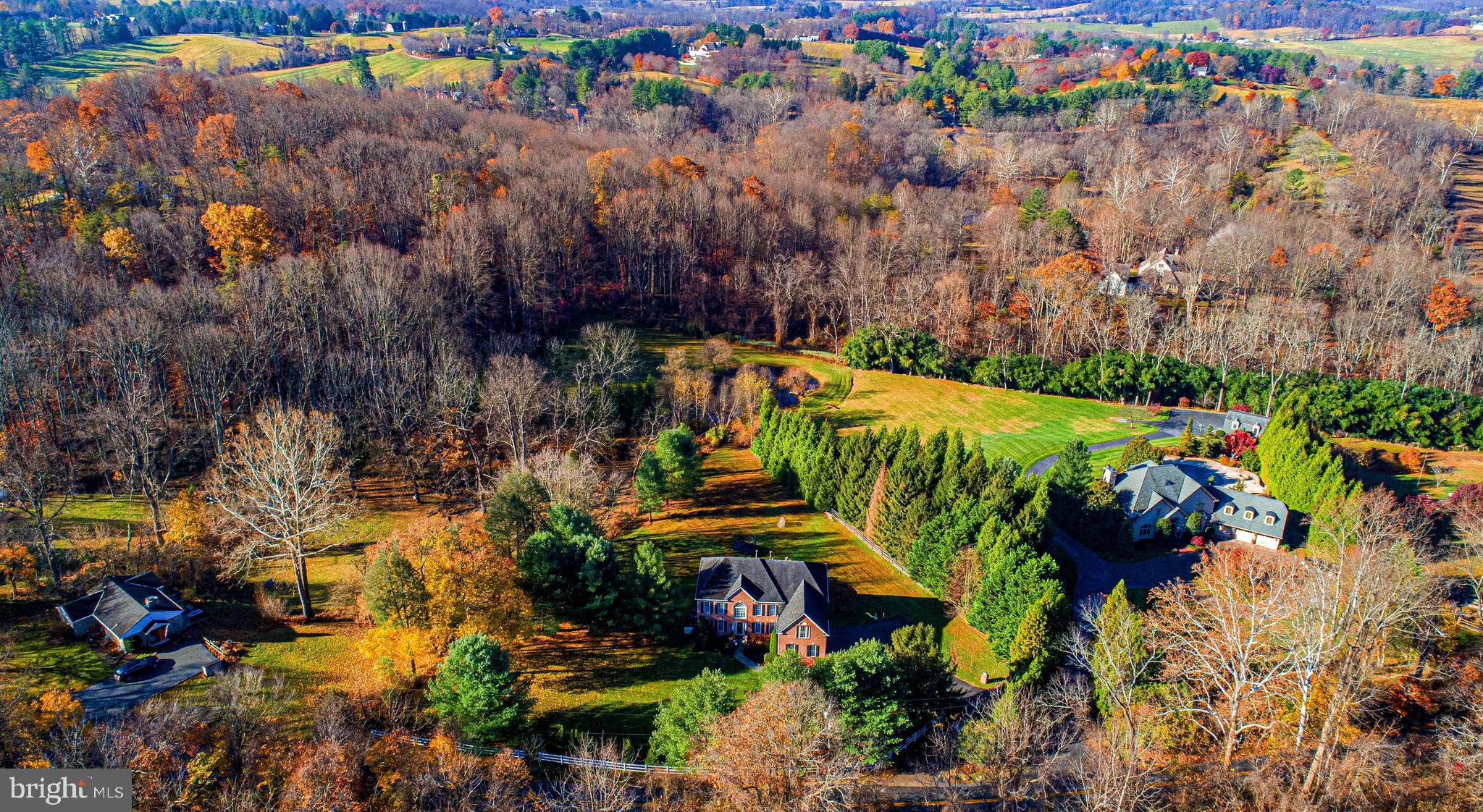 14516 Cuba Road Cockeysville, MD 21030 - Photo 3 of 79 a view of a bunch of flowers and trees