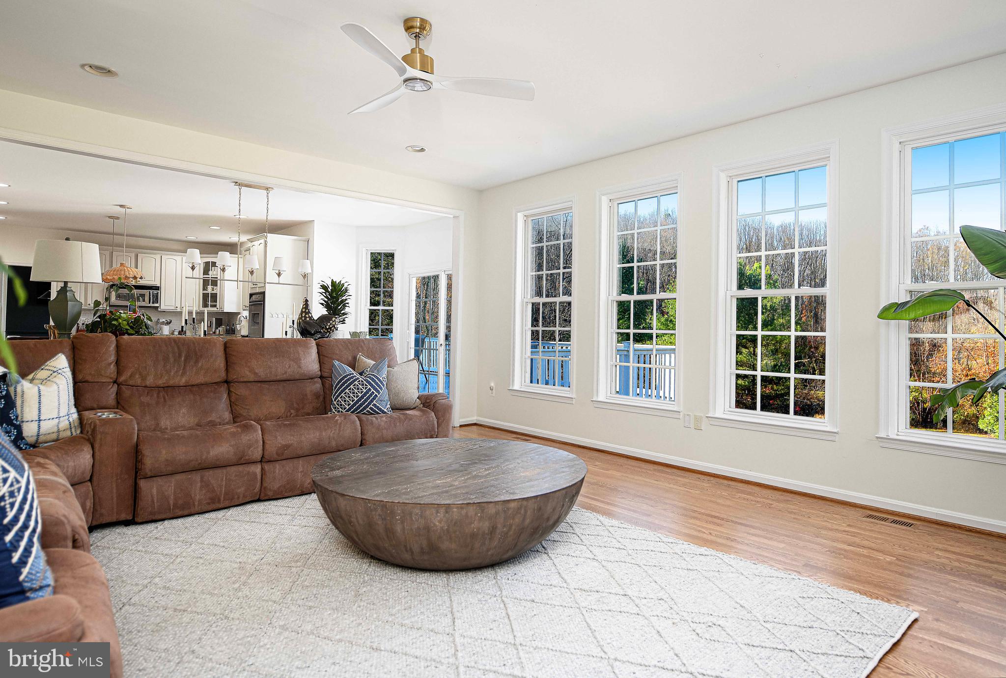 14516 Cuba Road Cockeysville, MD 21030 - Photo 32 of 79 a living room with furniture and a potted plant