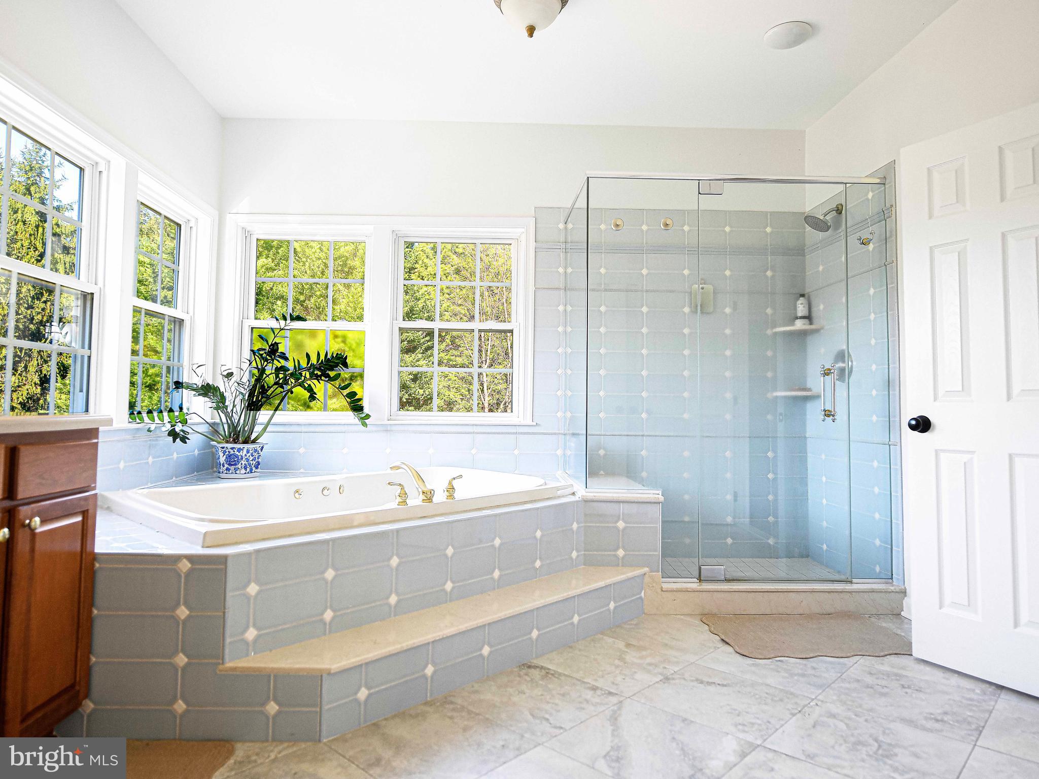 14516 Cuba Road Cockeysville, MD 21030 - Photo 48 of 79 a spacious bathroom with a tub shower and windows