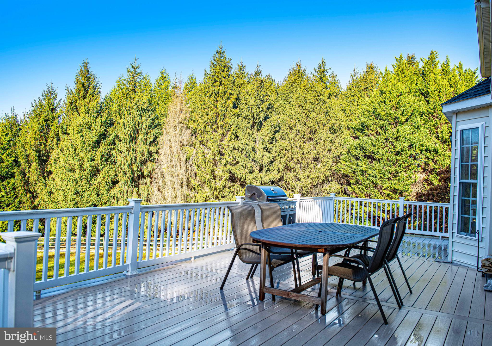 14516 Cuba Road Cockeysville, MD 21030 - Photo 65 of 79 a view of a chairs on the roof deck