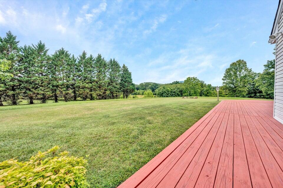 8451 Holly Tree Road Boones Mill, VA 24065 - Photo 43 of 67 20240614182049729761000000-o