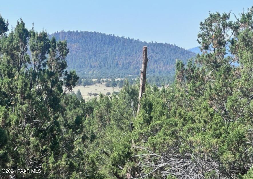 1434 East Barbara Road Williams, AZ 86046 - Photo 1 of 8 1434 Barbara 7