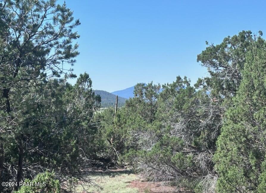 1434 East Barbara Road Williams, AZ 86046 - Photo 4 of 8 1434 Barbara 6