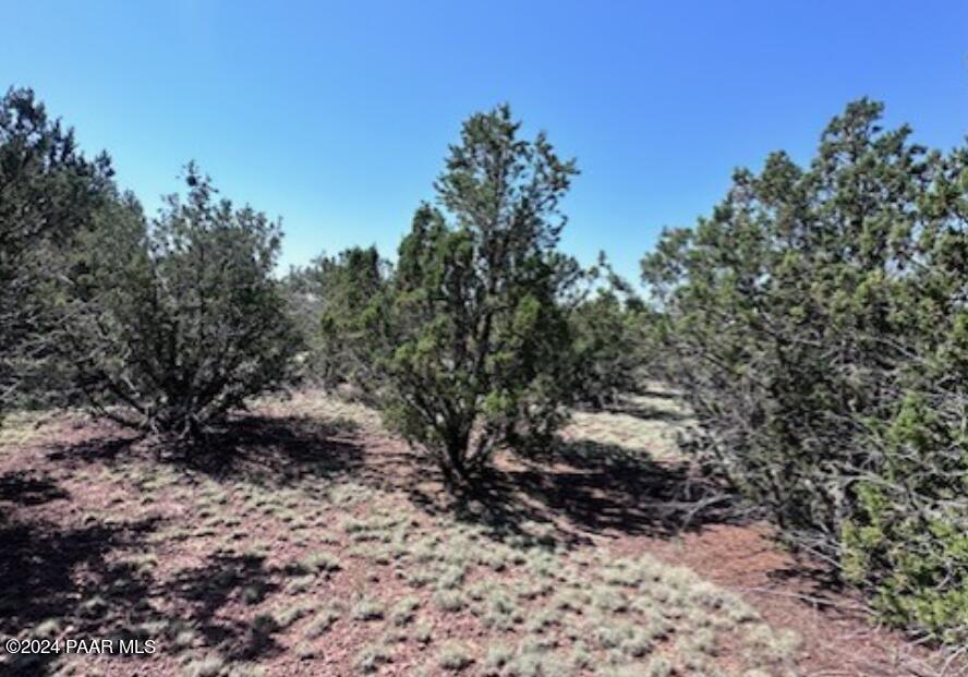 1434 East Barbara Road Williams, AZ 86046 - Photo 5 of 8 1434 Barbara 5