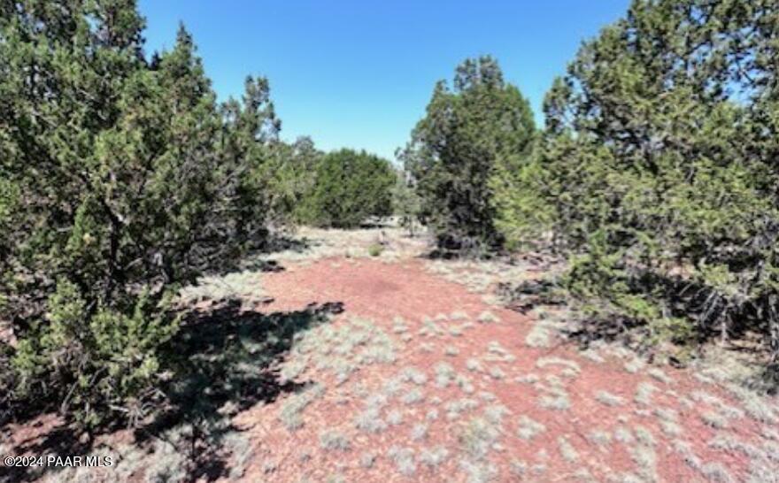 1434 East Barbara Road Williams, AZ 86046 - Photo 6 of 8 1434 Barbara 4