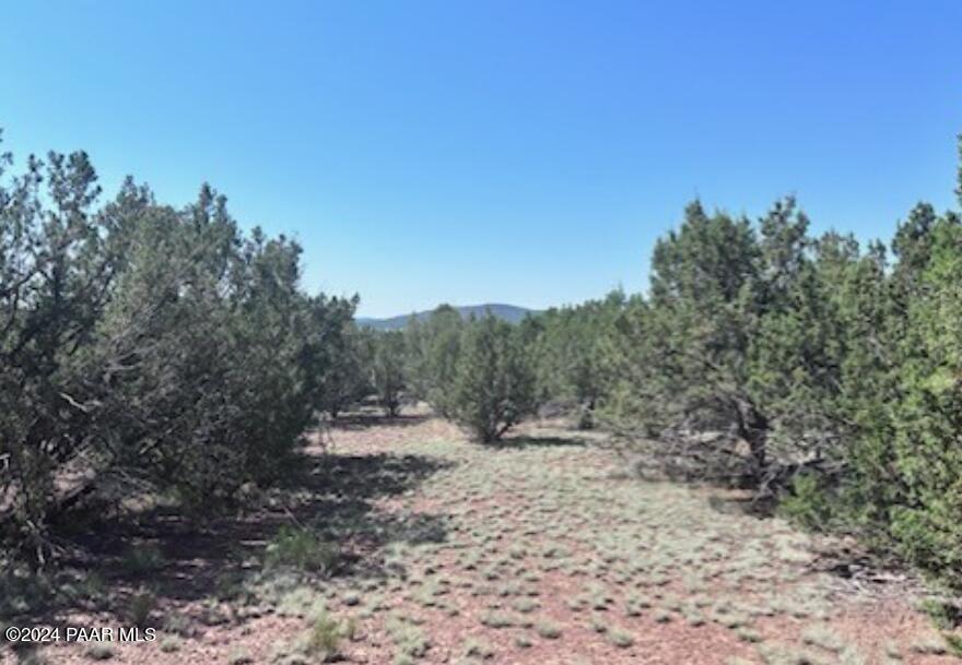 1434 East Barbara Road Williams, AZ 86046 - Photo 7 of 8 1434 Barbara 3
