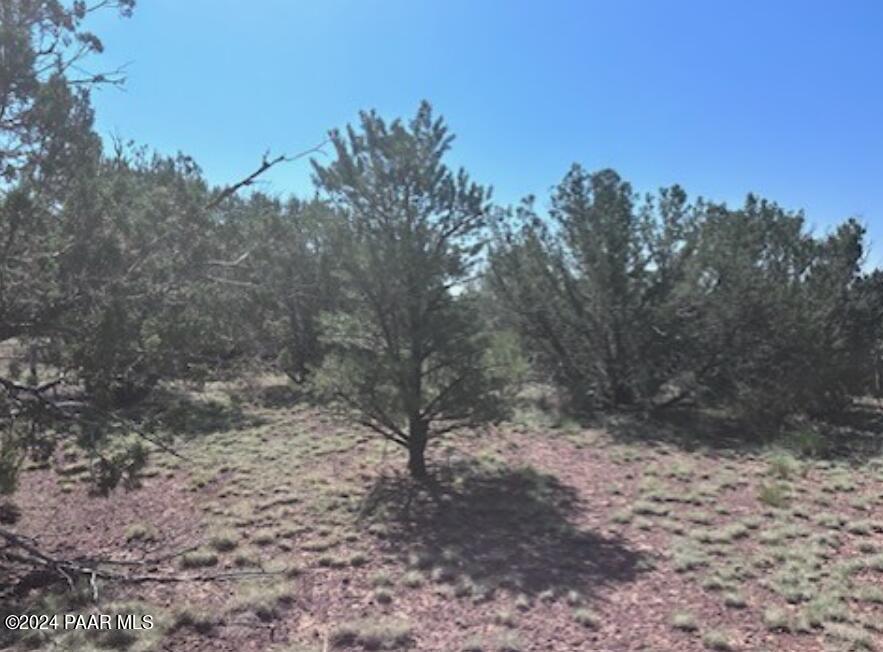 1434 East Barbara Road Williams, AZ 86046 - Photo 8 of 8 1434 Barbara 2