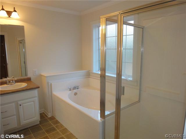 767 High School Ridge Buckingham, VA 23921 - Photo 8 of 12 a bathroom with a bathtub and a sink