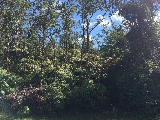 565 Alaula Street Volcano, HI 96785 - Photo 1 of 1 Gallery Image 1