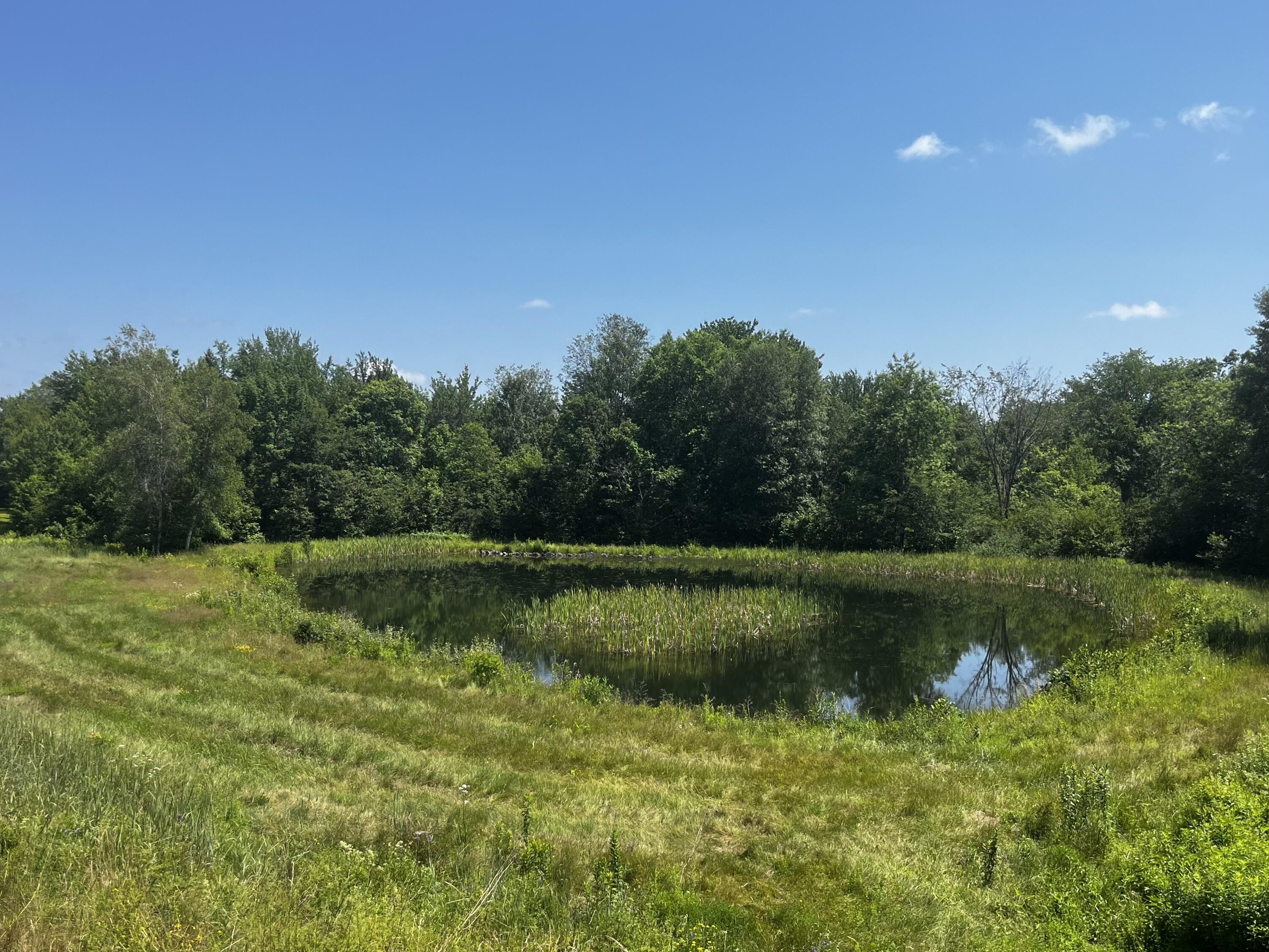 128 Old Airline Road Aurora, ME 04408 - Photo 9 of 74 Land with small pond