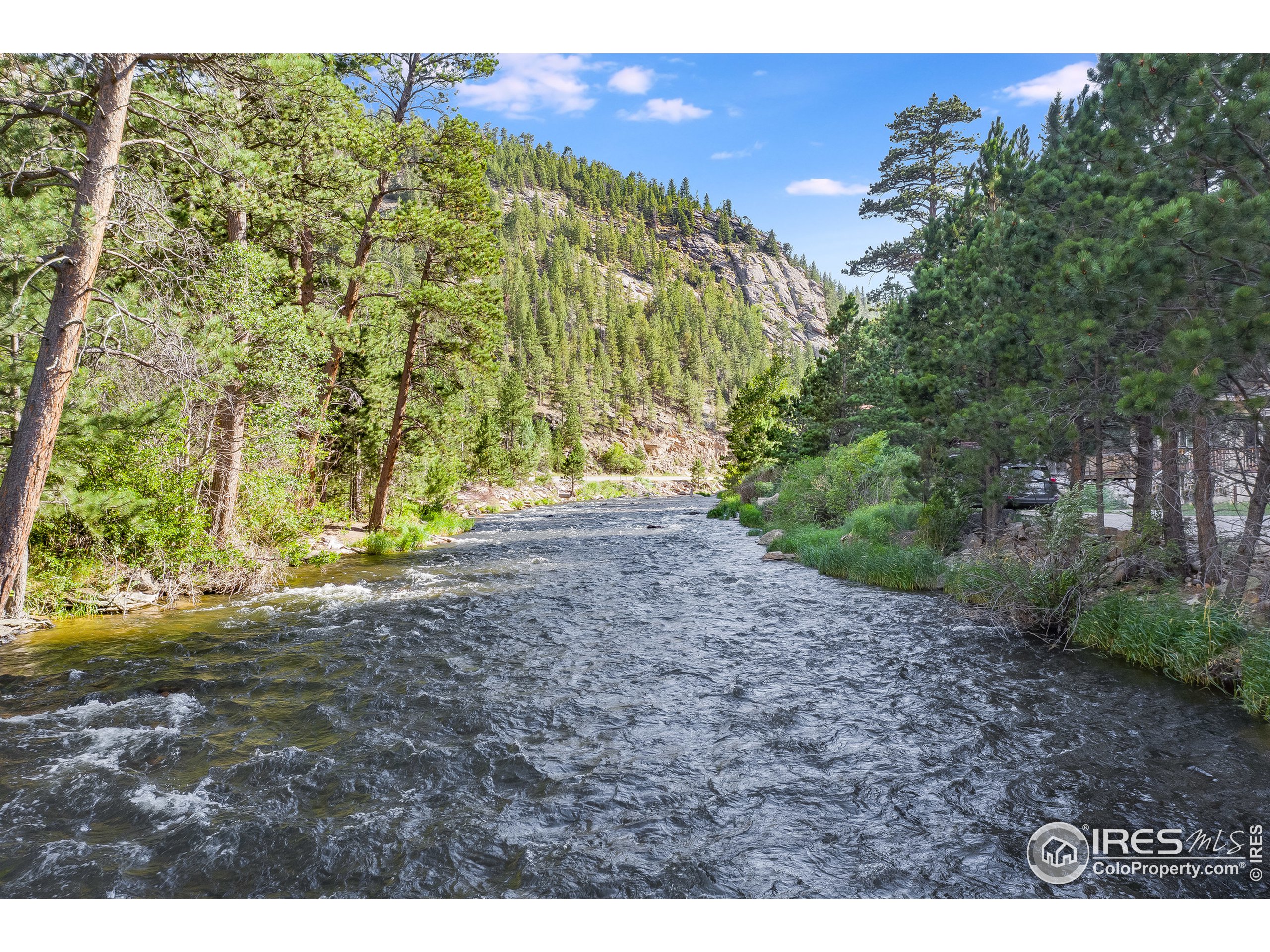 49 Rock Canyon Road Drake, CO 80515 - Photo 9 of 40