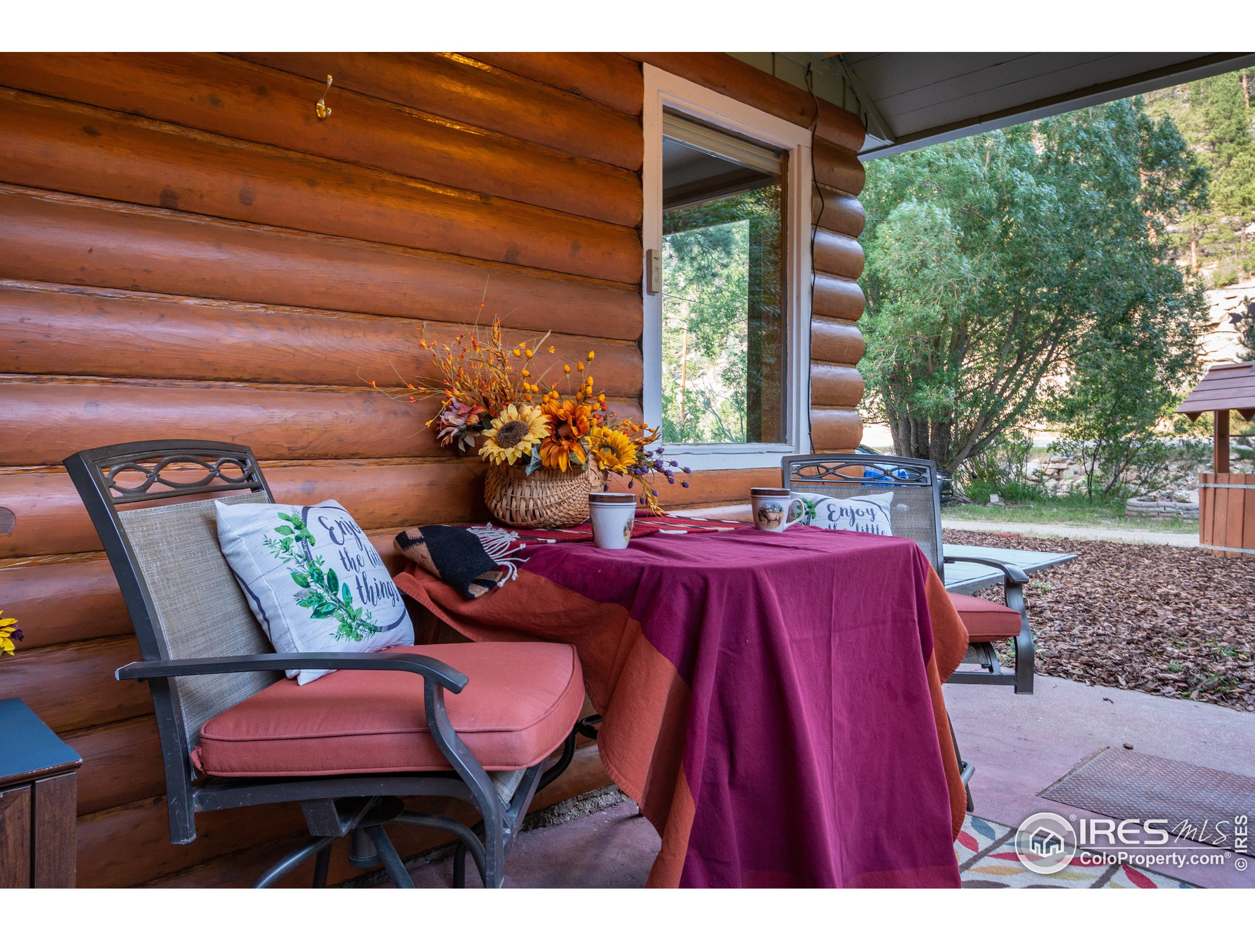 49 Rock Canyon Road Drake, CO 80515 - Photo 10 of 40