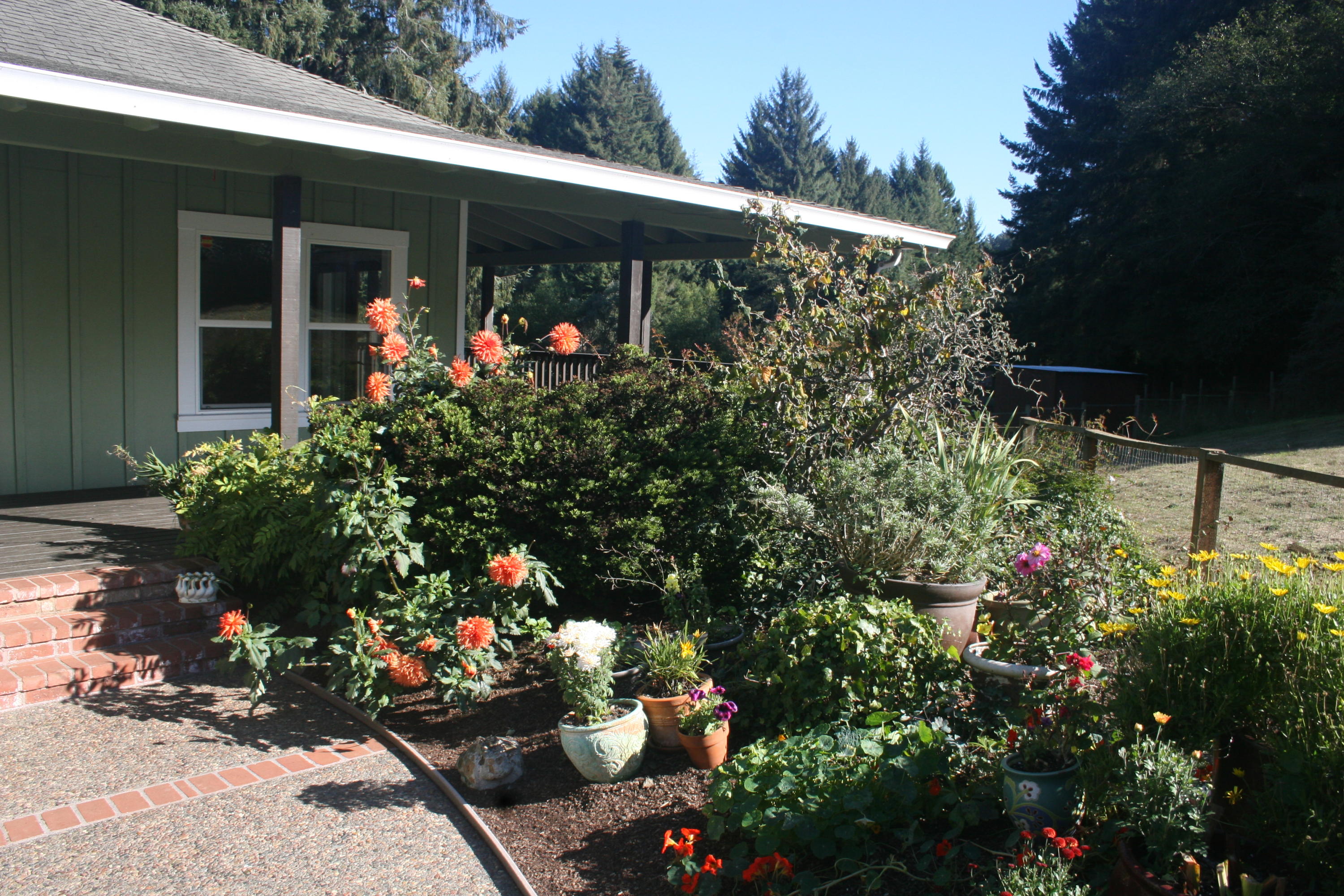 159 Hammer Lane Arcata, CA 95521 - Photo 3 of 40 Front Entry