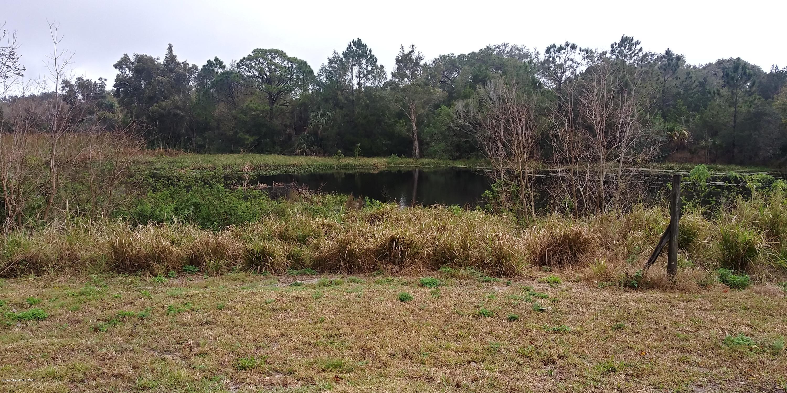2465 Dolphin Road Titusville, FL 32780 - Photo 19 of 40 a view of a lake in between two trees