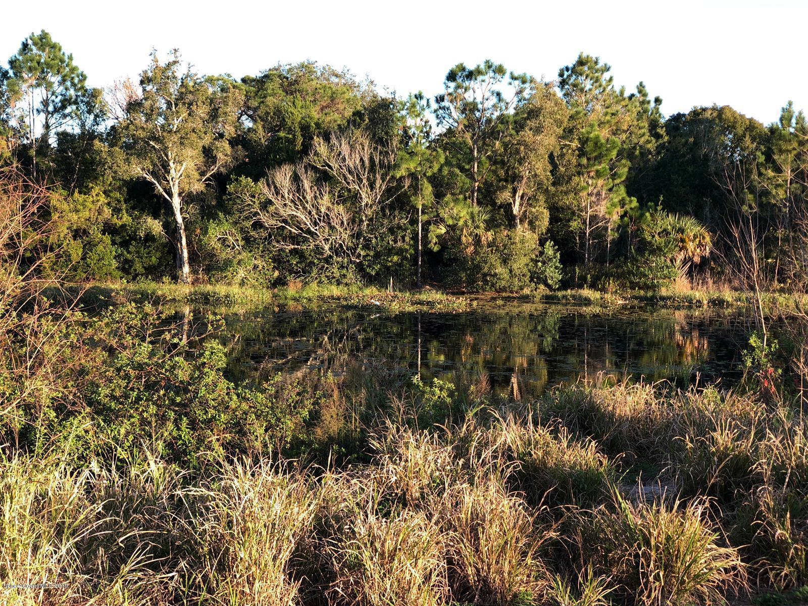 2465 Dolphin Road Titusville, FL 32780 - Photo 31 of 40 a view of lake