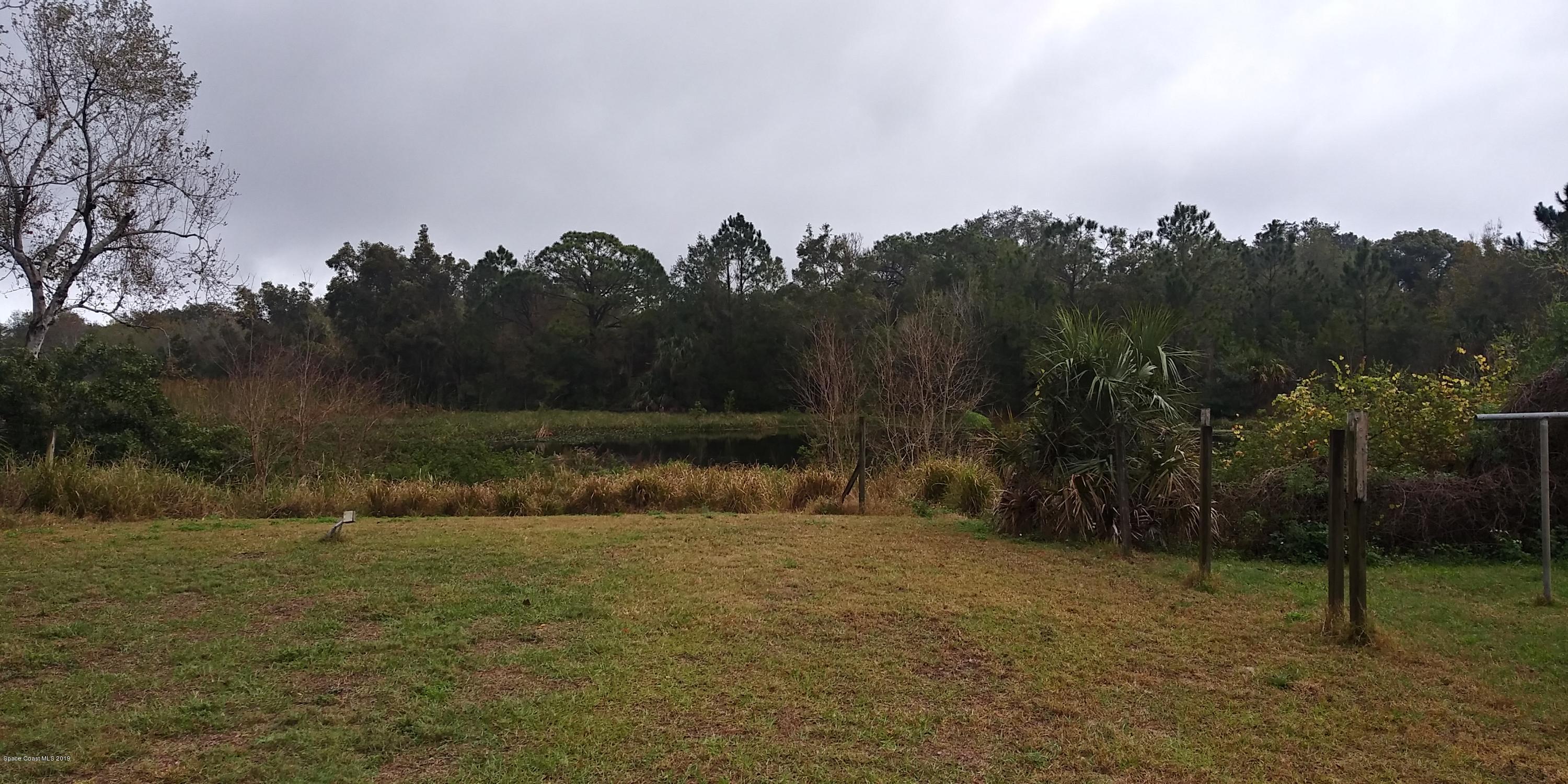 2465 Dolphin Road Titusville, FL 32780 - Photo 34 of 40 a view of a yard