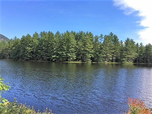1981 Long Falls Dam Road New Portland, ME 04961 - Photo 5 of 33 Standing on the lawn, this is the...