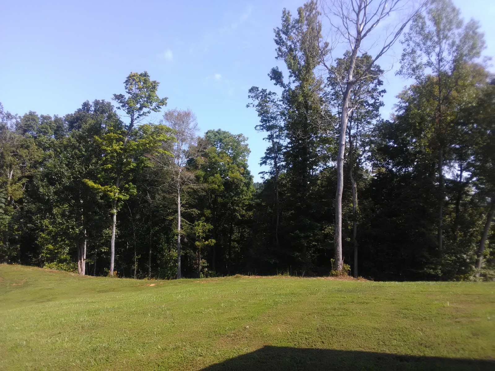 2346 Lockertsville Road Ashland City, TN 37015 - Photo 11 of 40 Gallery Image 11