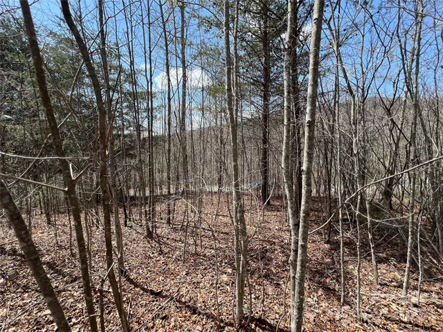 a view of outdoor space with lots of trees