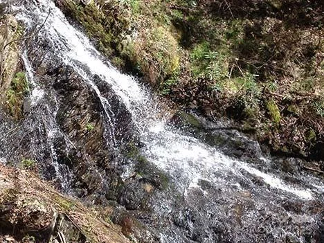 a view of a patio with couches and pool
