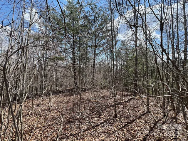 $19,500 | 192 Pine Cone Trail, Unit 21, Marshall, NC 28753