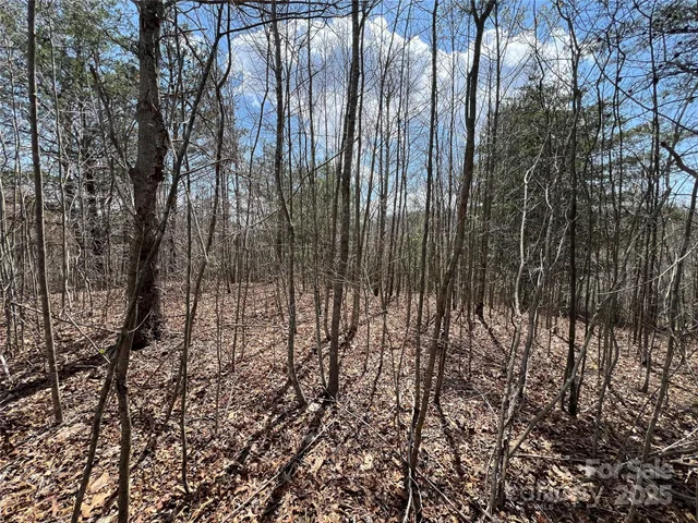 $19,500 | 192 Pine Cone Trail, Unit 21, Marshall, NC 28753