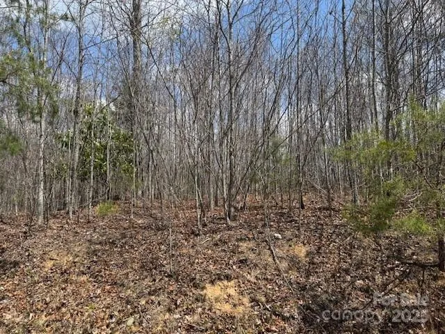 a view of outdoor space and garden