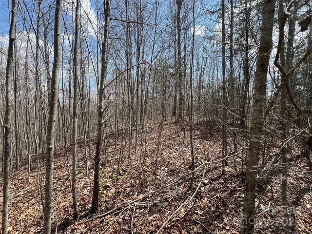 a view of empty room with a trees