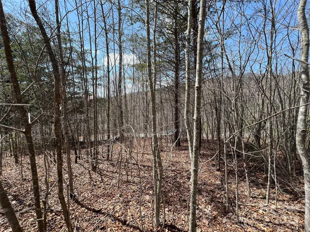 a view of a yard with lots of bushes