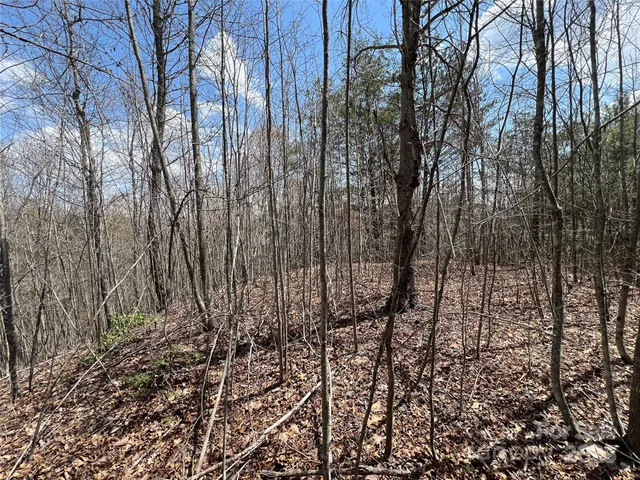 a view of a gate with a iron fence