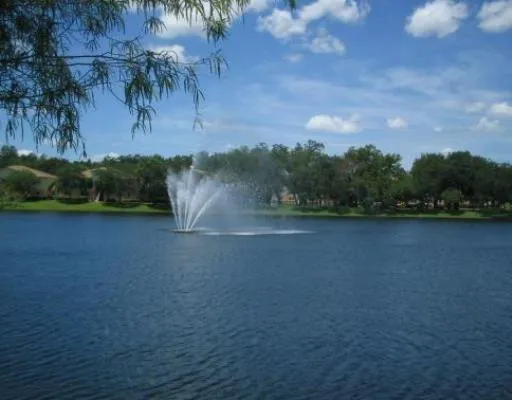 a view of a big yard