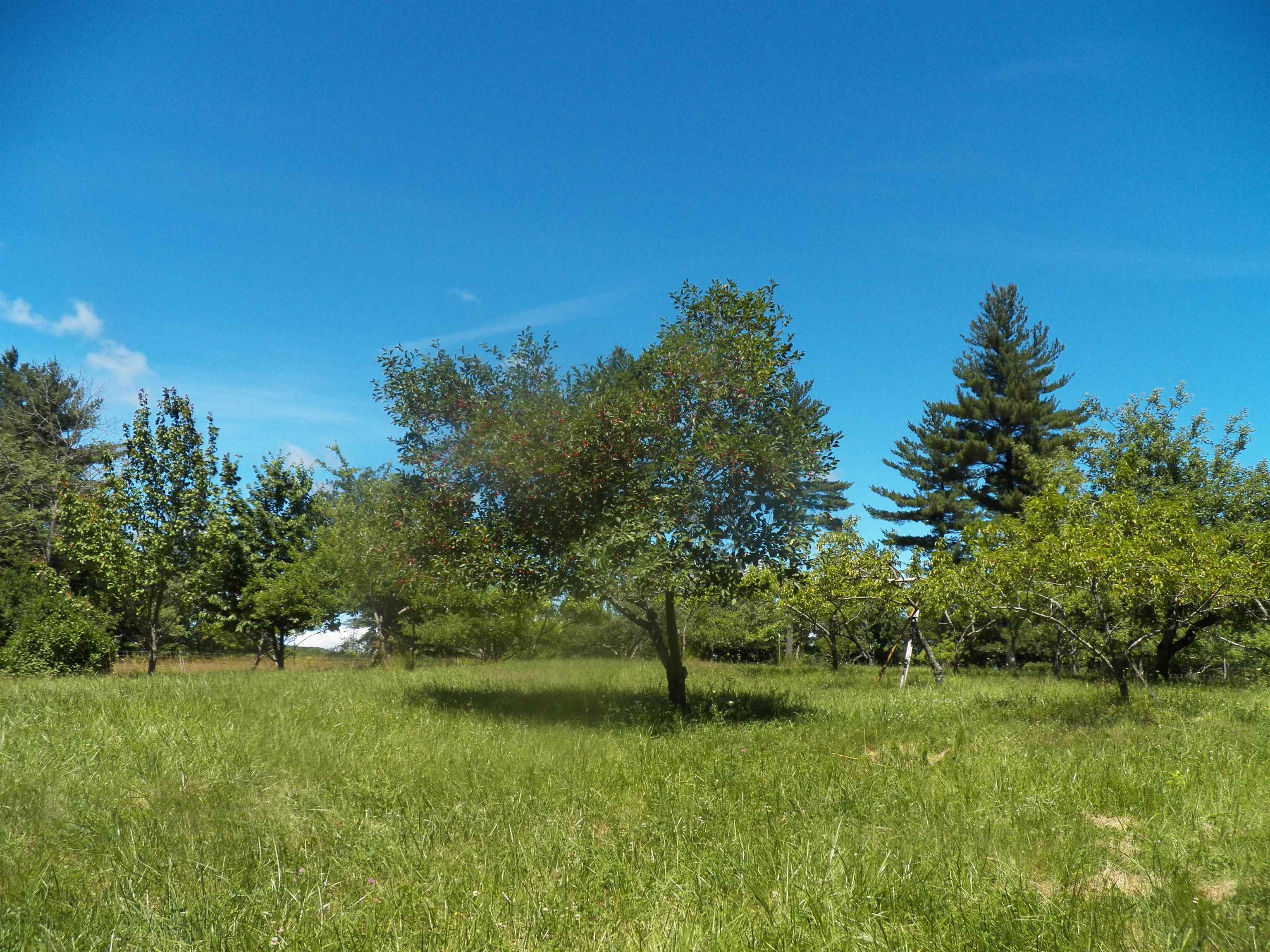 173 North Road Deerfield, NH 03037 - Photo 25 of 31 Gallery Image 25