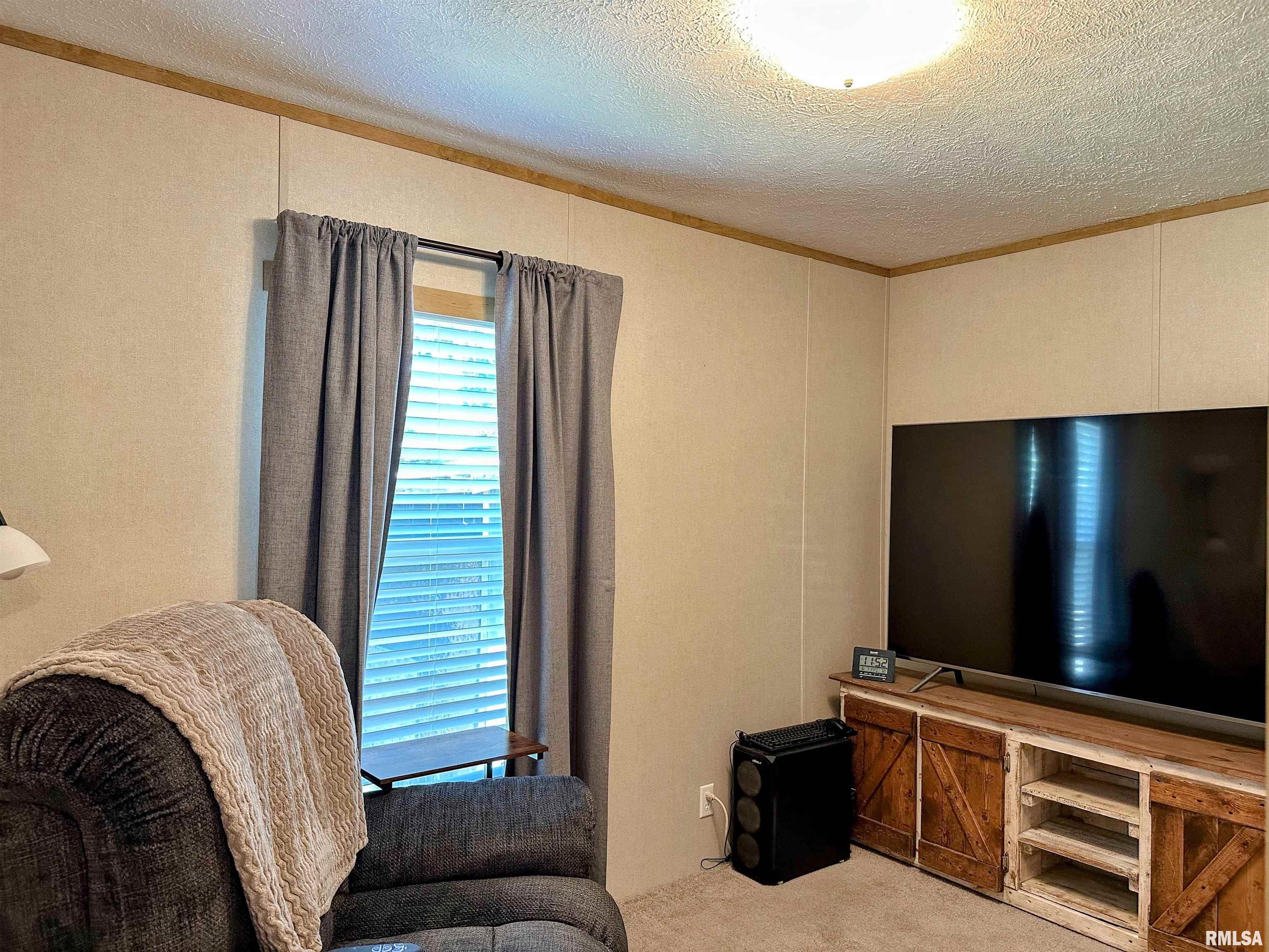 300 4th Street Colp, IL 62918 - Photo 30 of 48