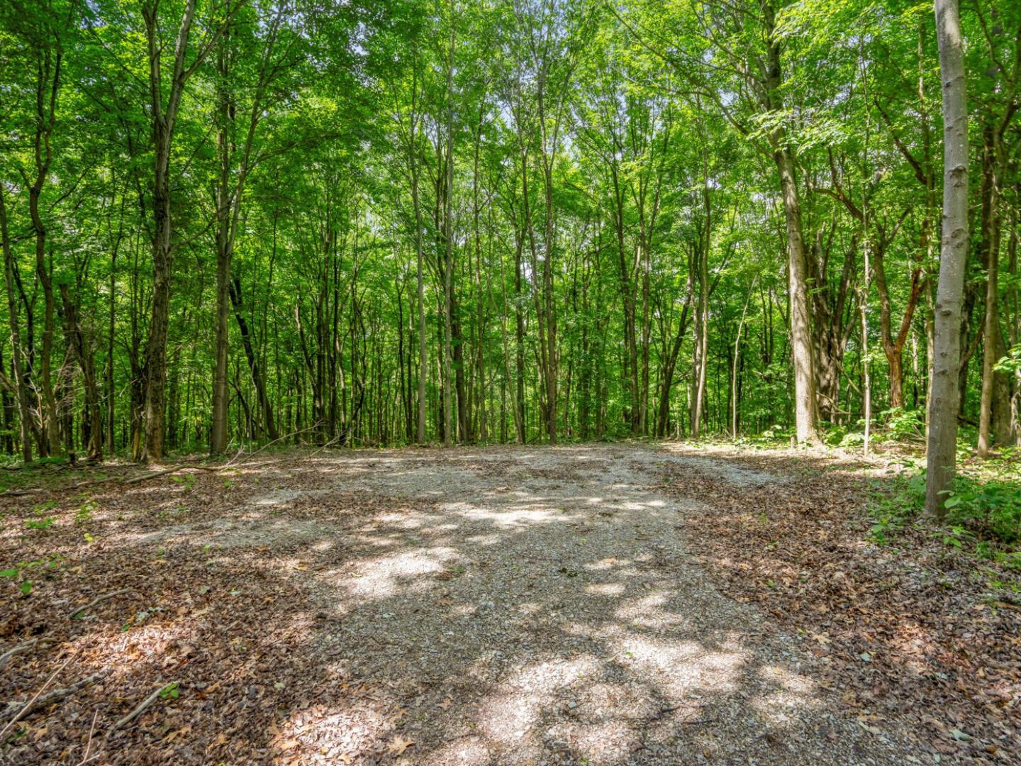 0 Potts Hill Road Bainbridge, OH 45612 - Photo 1 of 34 0 0 Lead Photo