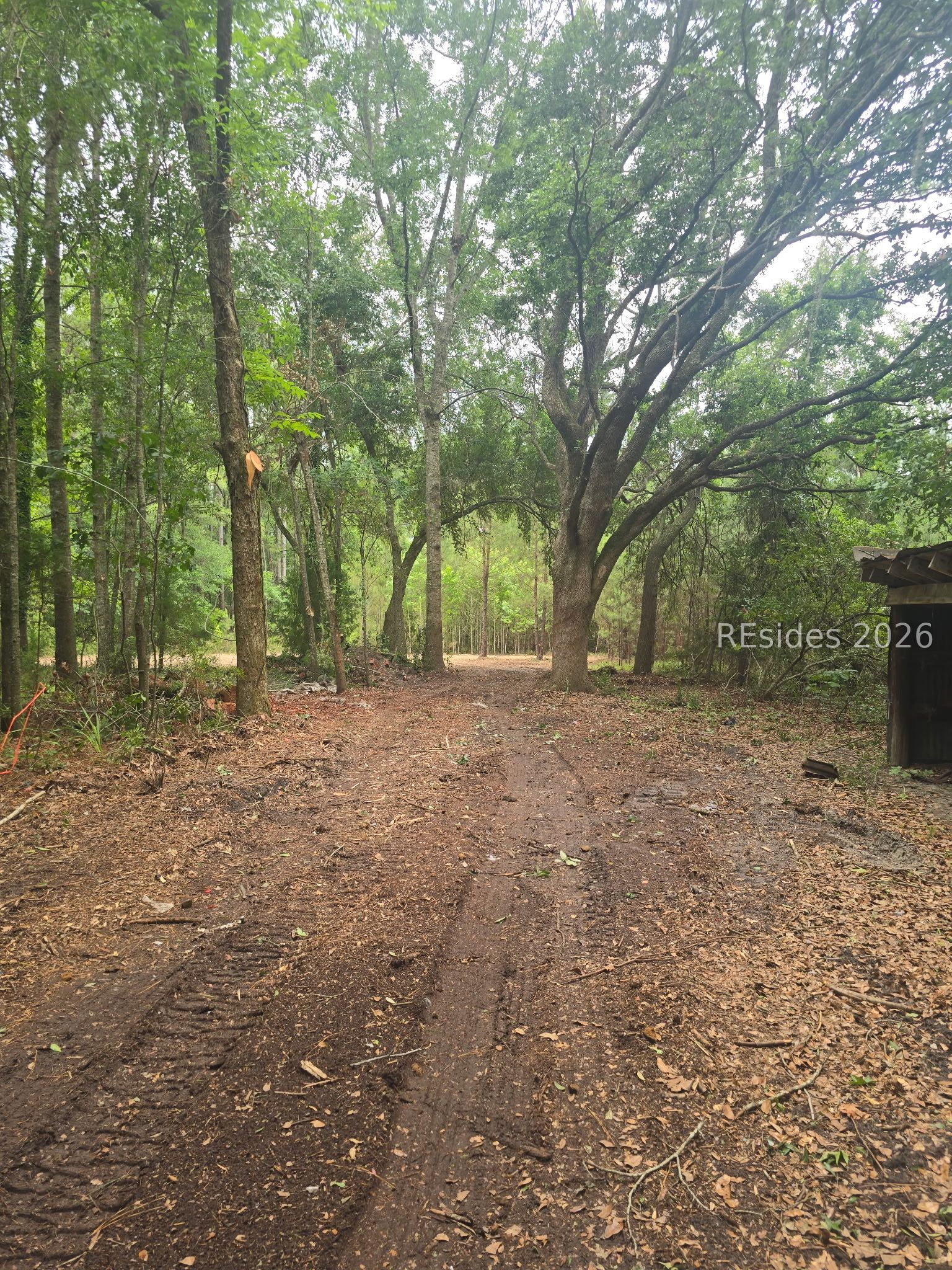 Tbd Firetower Road Ridgeland, SC 29936 - Photo 5 of 17